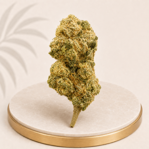 Premium Greenhouse OG Kush Hybrid 24% THC