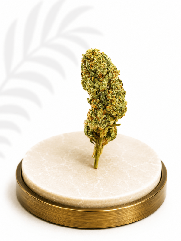 Premium Greenhouse White Widow Hybrid 15% THC