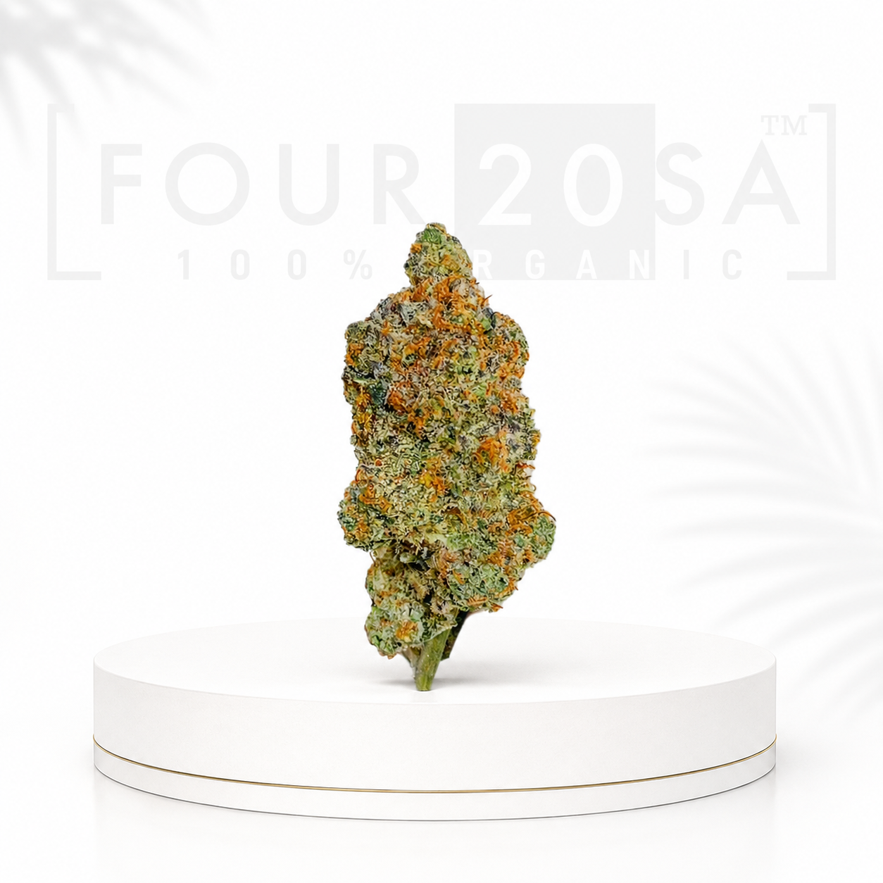 Boutique Indoor Runtz – Hybrid | 30% THC