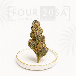 Premium Indoor Wedding Cake Hybrid 28% THC