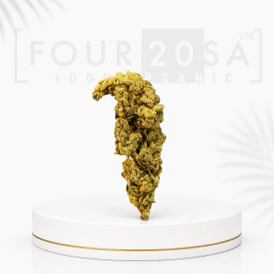Premium Greenhouse Chemdawg – Hybrid | 18% THC