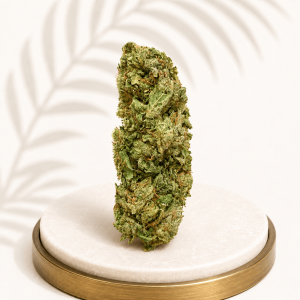 Premium Greenhouse Super Lemon Haze Sativa 19% THC