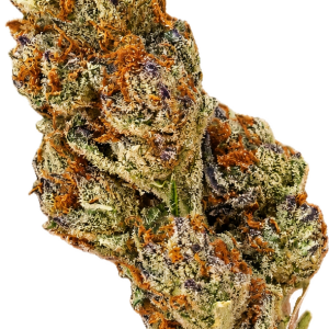 Boutique Indoor Devil Driver Hybrid 32% THC