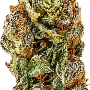 Boutique Indoor Jealousy Hybrid 32% THC