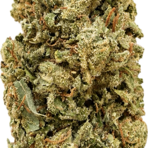 Standard Greenhouse Blackberry Hybrid 17% THC